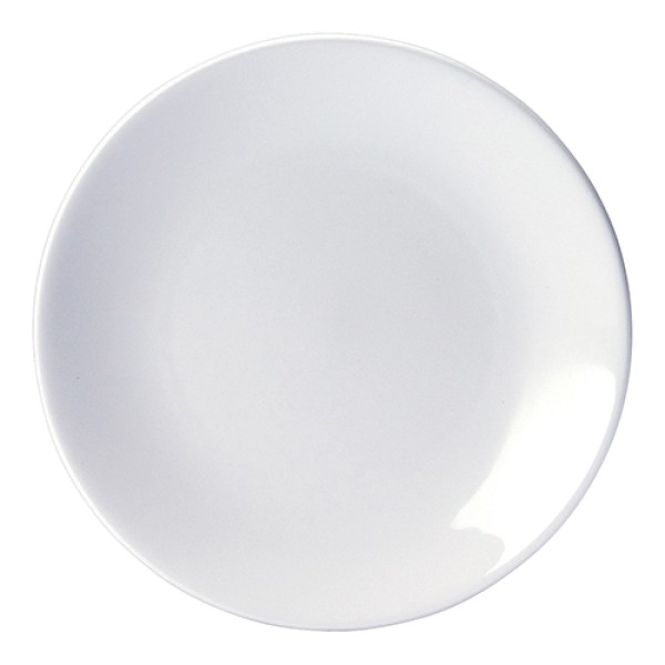 Contour Plate - 25.5cm (10")